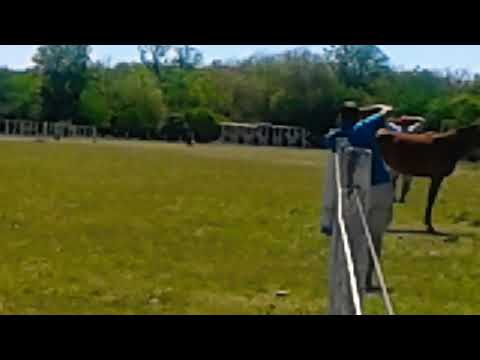 Carreras en pista La Escondida orgoroso paysandu