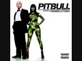 Pitbull - Can't Stop Me Now Feat The New Royales [2009]