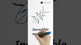 Download lagu Moths That Read Stars.  #kokochemeducation     #research     #kokonews   #science mp3