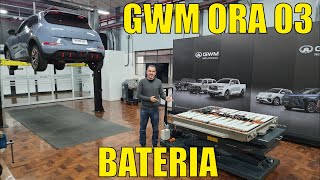 Como é a BATERIA de um carro elétrico - GWM ORA 03