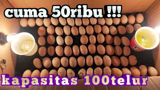 Download lagu ALAT TETAS TELUR SEDERHANA dan MUDAH DIBUAT mp3