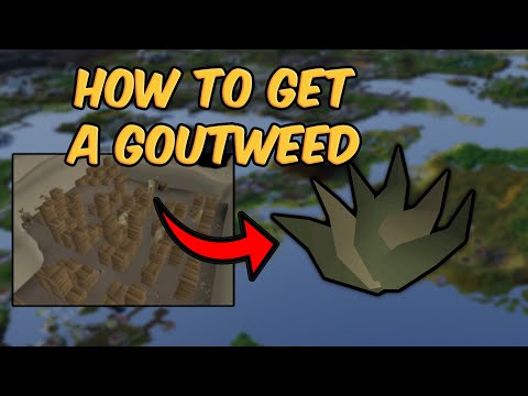 Goutweed Quick Guide | How to get a Goutweed (OSRS)