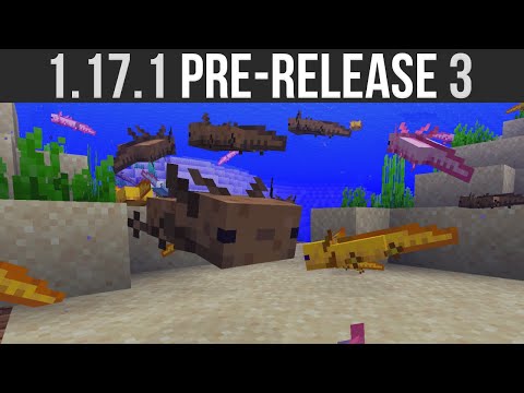 Minecraft 1.17.1 Pre-Release 3 Axolotl Despawning Fix!