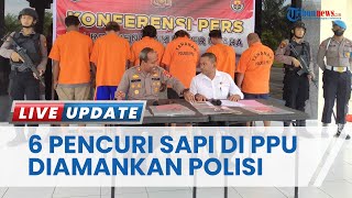 Enam Pencuri Sapi di PPU Diamankan, 11 Hewan Disembelih Langsung di Lokasi Kejadian