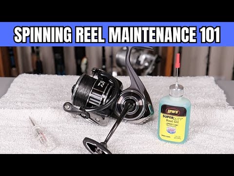 Ultimate Guide to Spinning Reel Maintenance: Easy Tips for Beginners -  Video Summarizer - Glarity