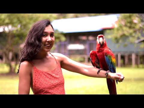 Kawsay Ayahuasca Retreat