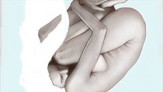 Blonde Redhead - The Dress [letra en español e inglés] [lyrics]