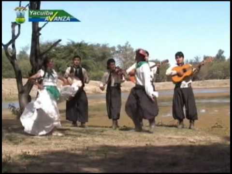 Canarios del Chaco "Cueca" (ryga100979)