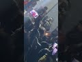 Tapki Jaye Jalebi Ras Ki Aameen Dance Jhenjhpuri Mewati New 2022