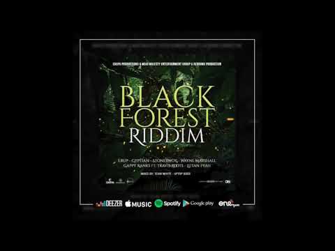 Everytime by Gyptian - (Official Audio) Black Forest Riddim