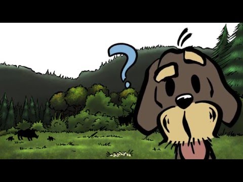 Was ist Jagd und was machen Jäger?