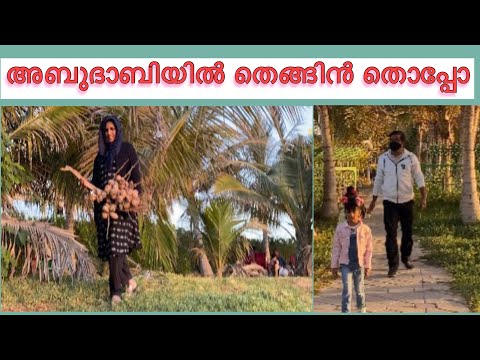 A hidden gem in AbuDhabi|Al Shahila Beach|Al Shati Lake