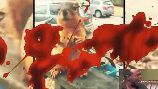 The annoying squirrel song