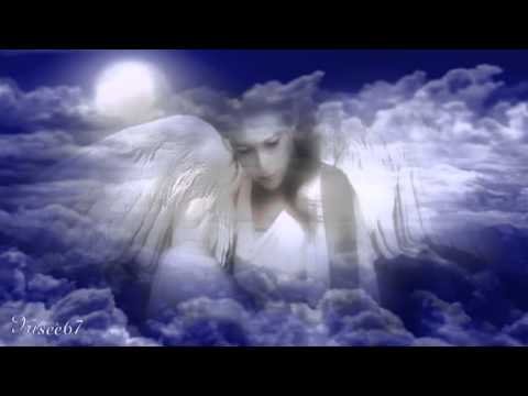 ●•●• Gepy & Gepy ~ Angelo Blu •●•●