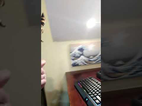 Band 2 Challenge lesson 3/30 to 4/2