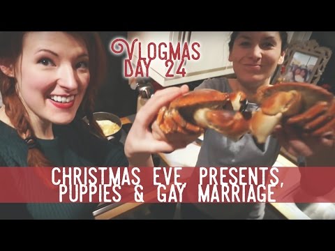 Christmas Eve, Presents, Puppies and Gay Marriage / Vlogmas Day 24: Video