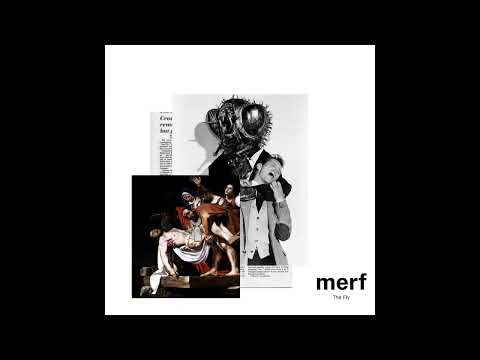 [Free] Hard Westside Gunn x Tyler the Creator type beat "The Fly" (prod. merf) 2023