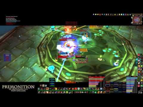 Premonition vs Lady Vashj. Serpentshrine Cavern TBC 2.4.3 Archangel Feenix. Warrior PoV
