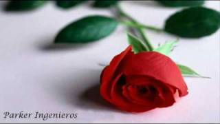 Alice Merton - No Roots