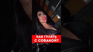 КАК ГУЛЯТЬ С СОБАКОЙ???