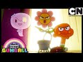 Séance The Flower Gumball Cartoon Network