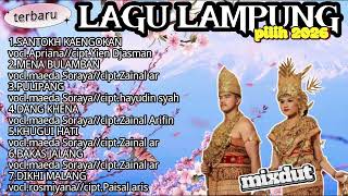 Download lagu DANGDUT LAMPUNG 2026 spesial lagu pilihan  mp3