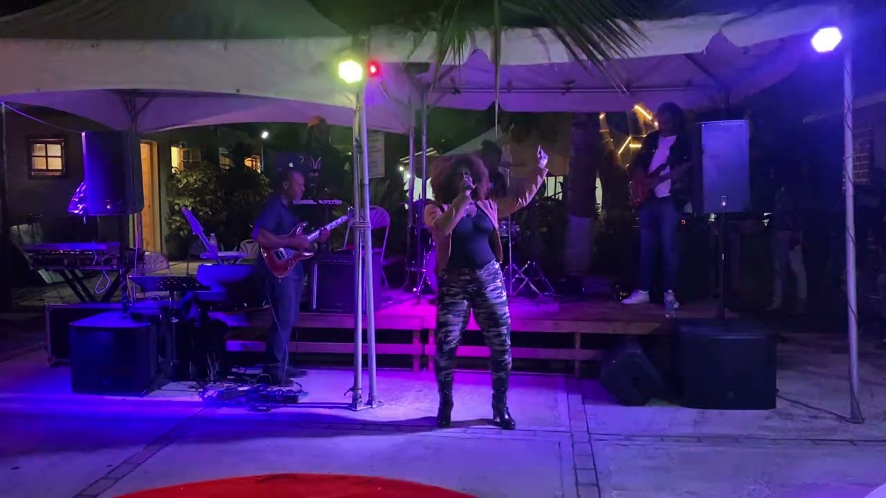 Promotional video thumbnail 2 for Platinum All Stars Band