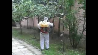 Ankara Haşere Böcek İlaçlama İnsecta Habitat Bortubocekavcıları