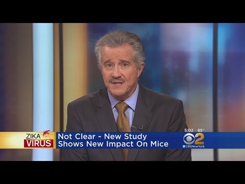 Concern Over New Zika Study