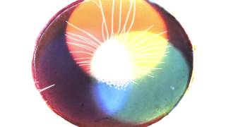 Paparazzi Platinum at ArmaniPrive ft David Penn SPA  The Face of Babylon