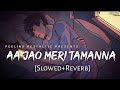 Aa Jao Meri Tamanna Slowed Reverb Javed Ali Ajab Prem Ki Gazab Kahani Feeling AESTHETIC