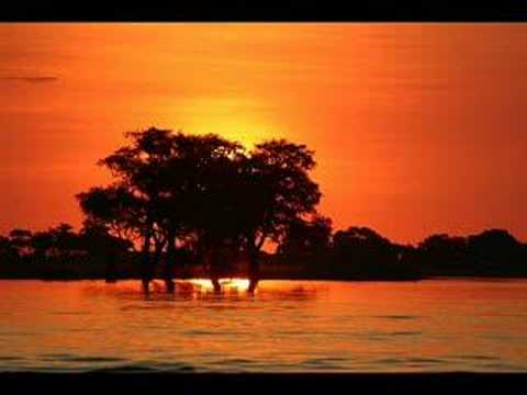 forever young (sung by children/kids band)