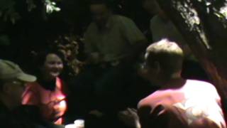 Installation at the Tree - Installáció a fán