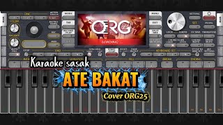 Download lagu Karaoke sasak || ATE BAKAT || Versi dangdut modern🎶🎶 mp3