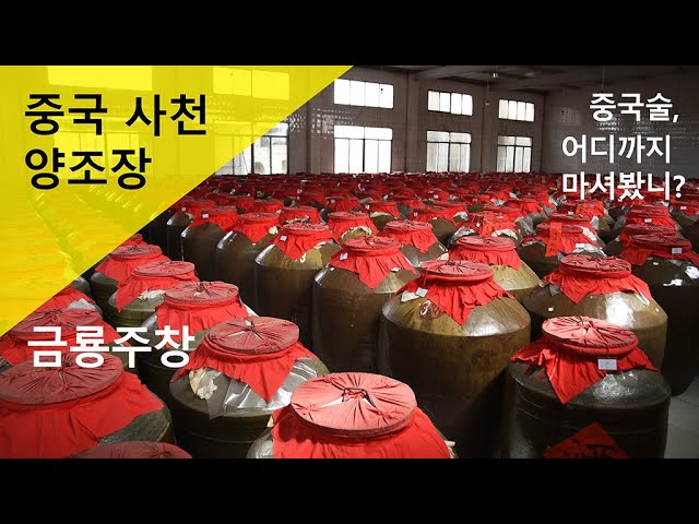 중국 사천의 양조장 ①금룡주창