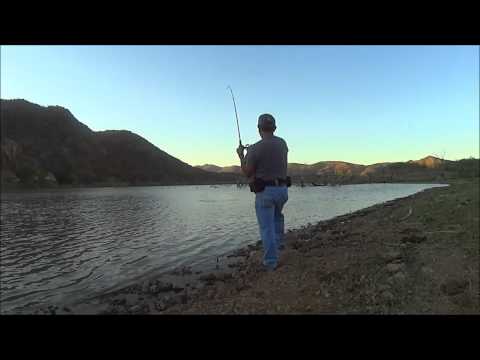 Una captura inesperada