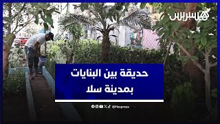 حديقة بين البنايات بسلا.. ساكنة حي الرحمة تقوم على رعاية حديقة طيور بمجهودات ذاتية thumbnail