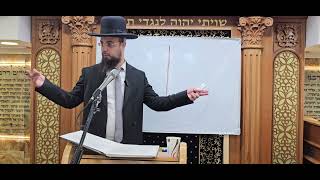 הרב שקד בוהדנה אוצרות 