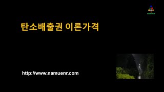 [한국탄소배출권시장] 탄소배출권 이론가격