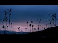 Robin Schulz Eines Tages