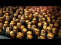 Universal Pictures International Blu Ray Family Trailer 1080p