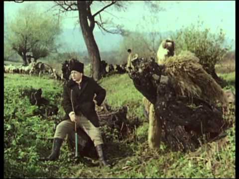 Toamna Bobocilor   Ce frumosi