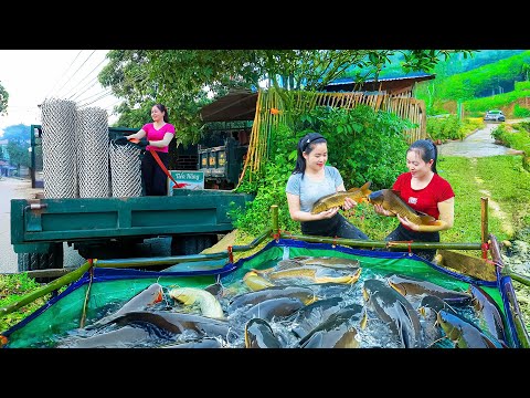 Use Truck for Harvesting and Transporting Fingerling Fish - Farm Life