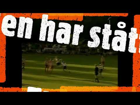 Veberöds Dansgala VAIF