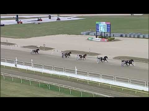 Napoli Trotto 21/09/2023 - 2ª prova di qualifica