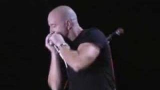 Kim Wilson & Kid Ramos