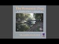 Trio in D Minor, Op.49 - Movement One