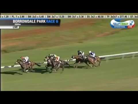 2017.04.02 Bloodstock South Africa 2000 (ZIM) - Solinski