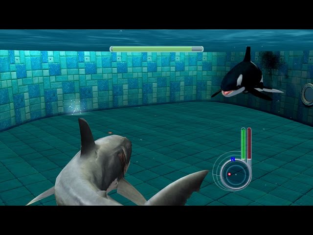 Jaws Unleashed - Great White Shark vs Killer Whale