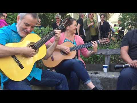 Patio music at Field Day 2019